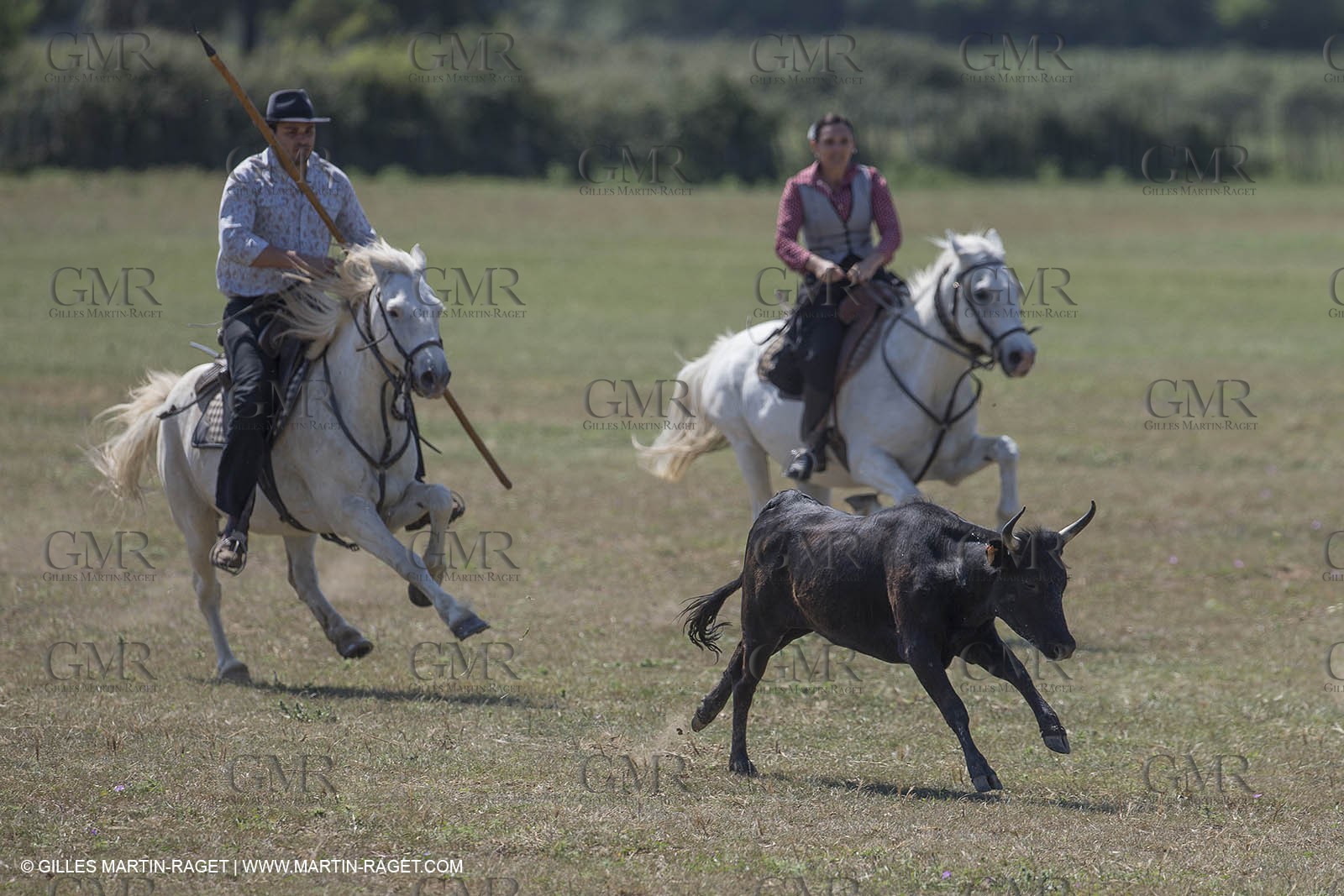 Course de Satin 2014 - Arles (FRA,13) - 1 06 2014**The satin race - Arles (FRA,13) - 01 06 2014