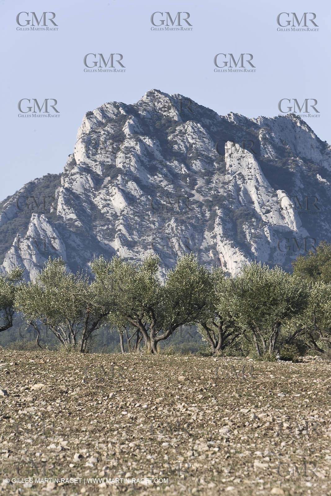 09 02 2008 - Les Baux de Provence (FRA, 13) - Alpilles hills landscapes