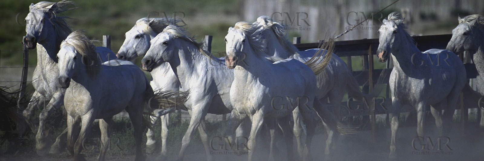 Product: in house made quality print on 8 ultrachome colors Epson ink Jet printer.Available sizes: . 20x 60 cm. 33 x 95 cm. 52 x 150 cmAvailable papers: . Standard 250 gr glossy paper print, black streak, white margin, no signature. Top quality glossy 290 gr. paper, black streak, white margin, checked and signed by the author. Fine Art print (signed, numbered, stamped, registered) on demand. Other supports (Canvas, Acrylic, Metal) on demandPackaging: cylindric reinforced tubeShipping options: regular mail or Shipping companyClick on the basket icon to select your options and start the online ordering process