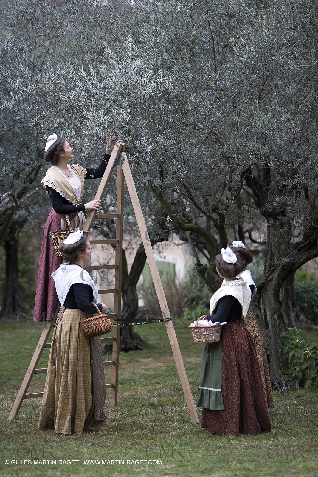 18 02 2007 - Saint Rémy de Provence - Queen of Arles in the Alpilles