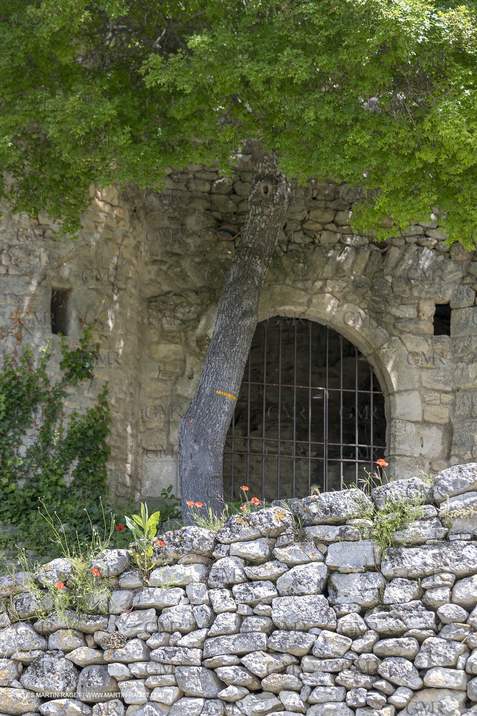 10 06 2018, Sivergues (FRA,84)