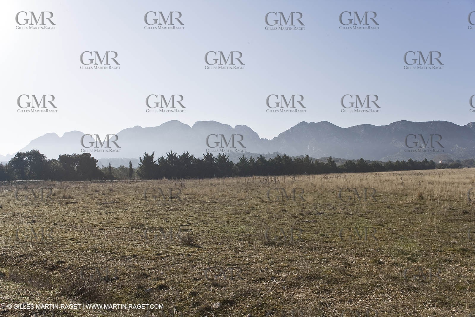 09 02 2008 - Les Baux de Provence (FRA, 13) - Alpilles hills landscapes