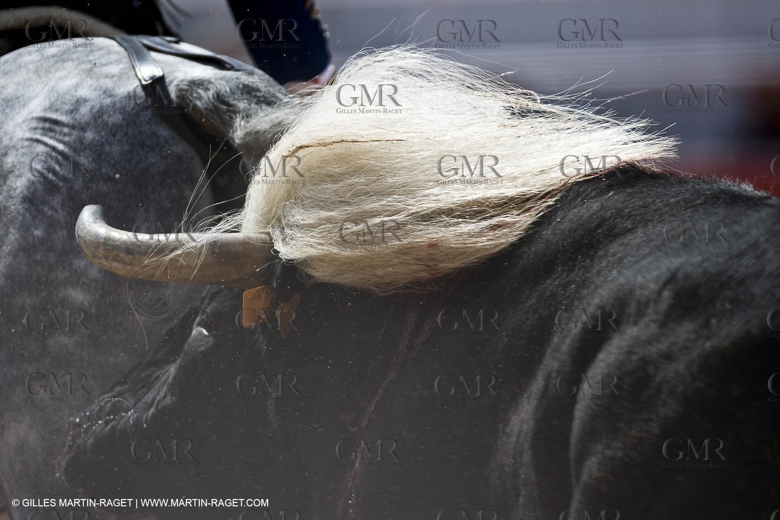 25 03 2008 - Arles (FRA, 13) - Feria 2008 - Corrida de Rejon