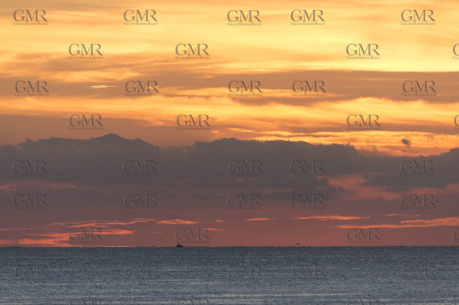 11 10 2014, Alicante (ESP), Volvo Ocean Race 2014-15, Team Alvimedica