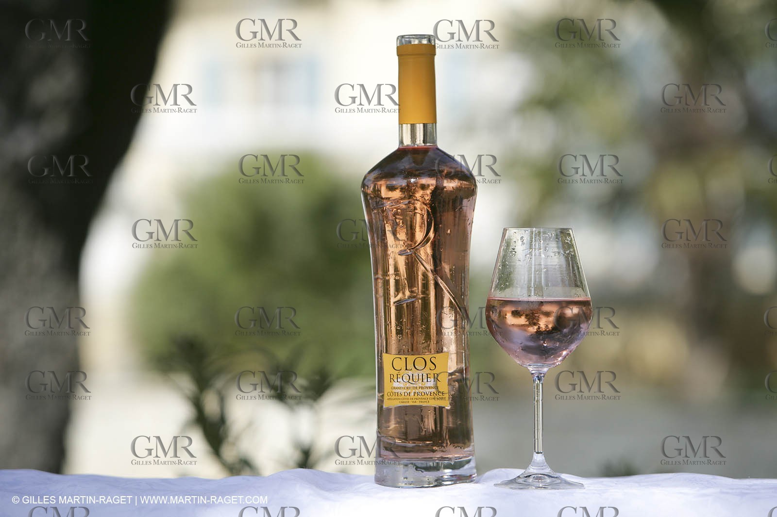 28 02 2008 - Cabasse (FRA, 83) - Domaine du Lac vines