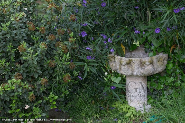 fdeeb1dd-8f9a-4542-bdbe-602bad5f495f