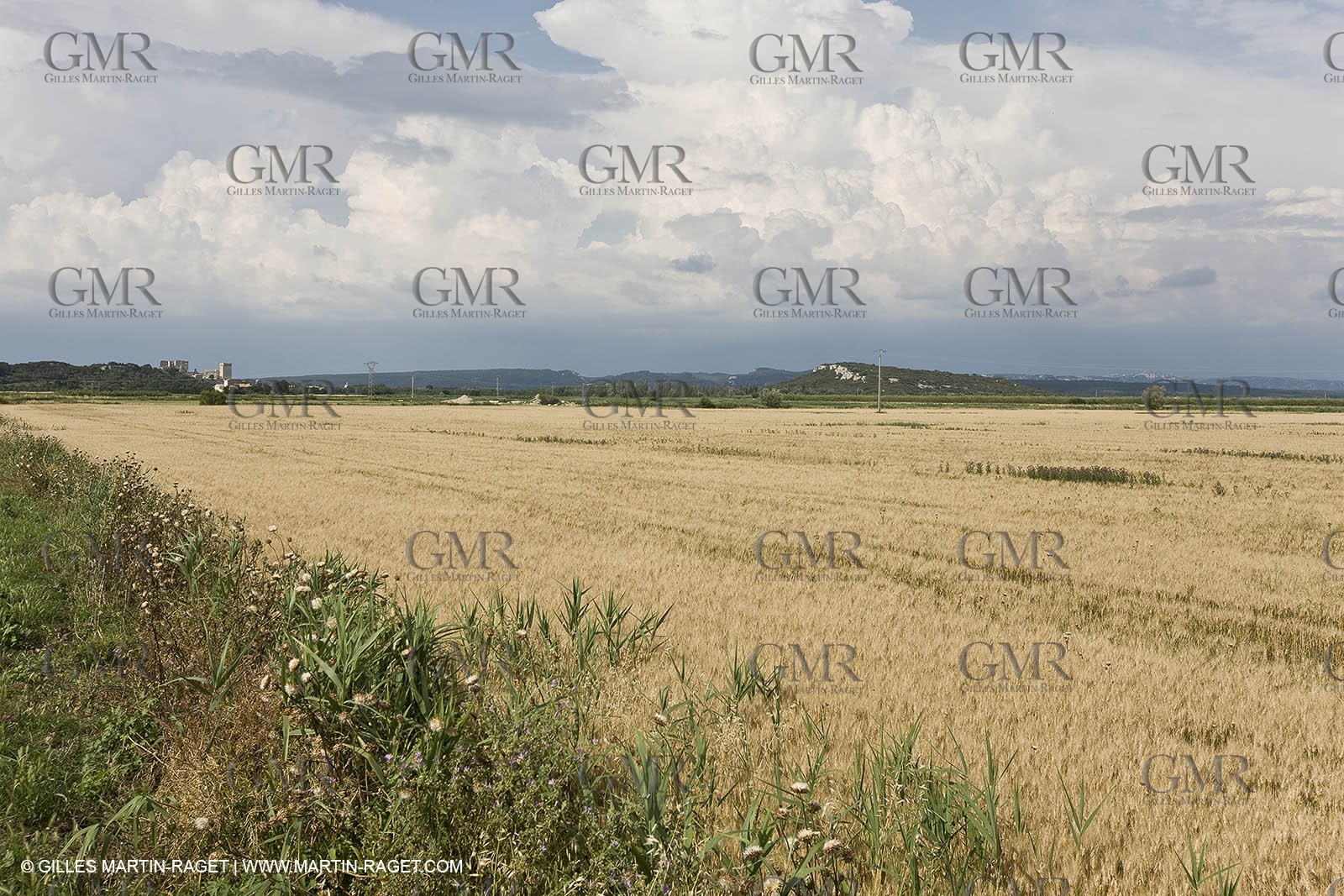 10 06 2008 - Arles and surroundings (FRA, 13) - Vincent Van Gogh south