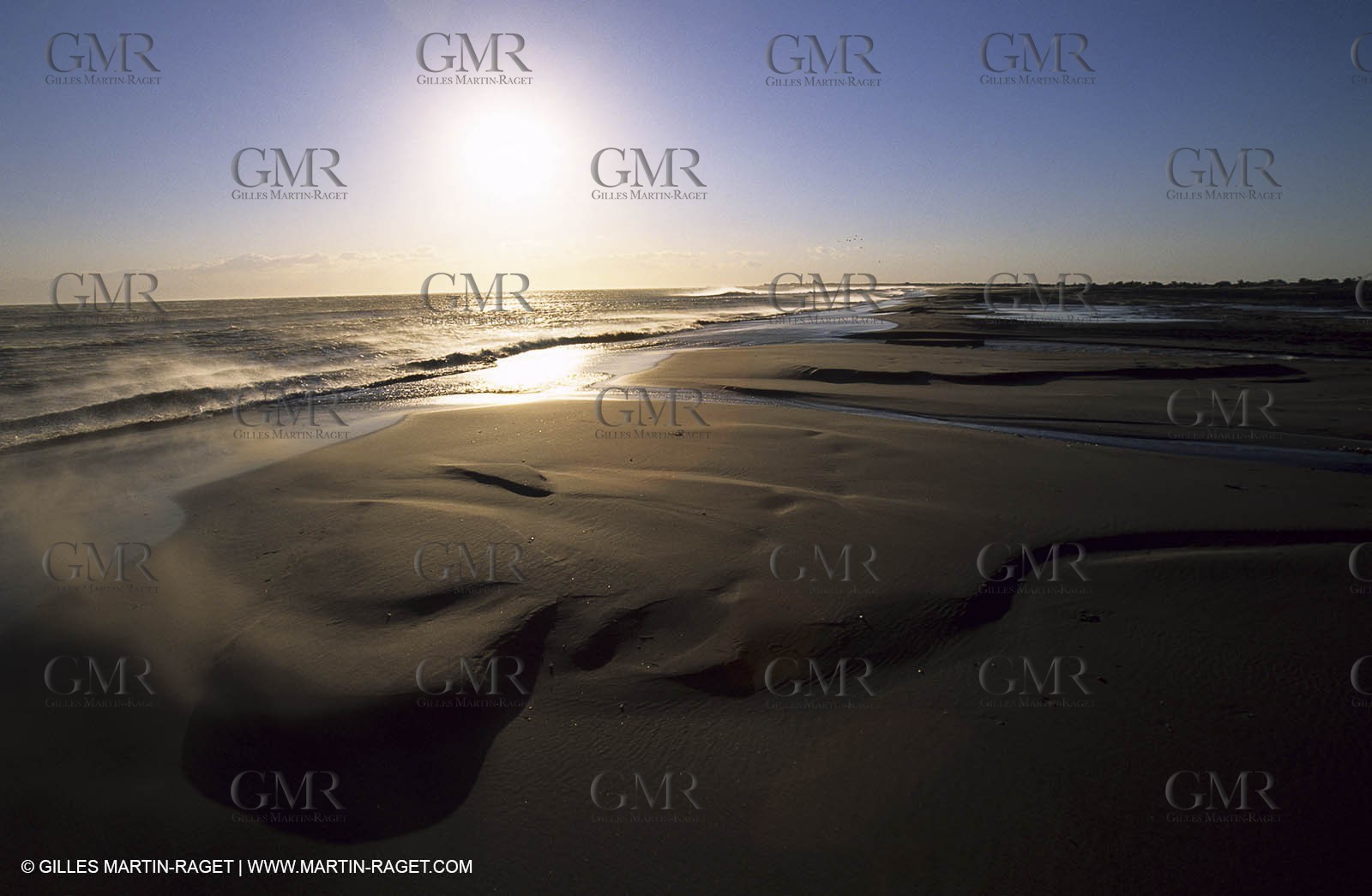 Camargue beach