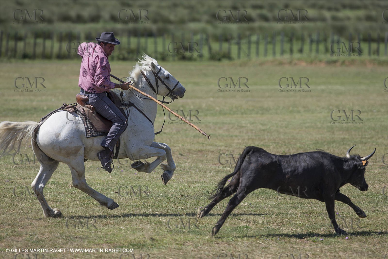 Course de Satin 2014 - Arles (FRA,13) - 1 06 2014**The satin race - Arles (FRA,13) - 01 06 2014