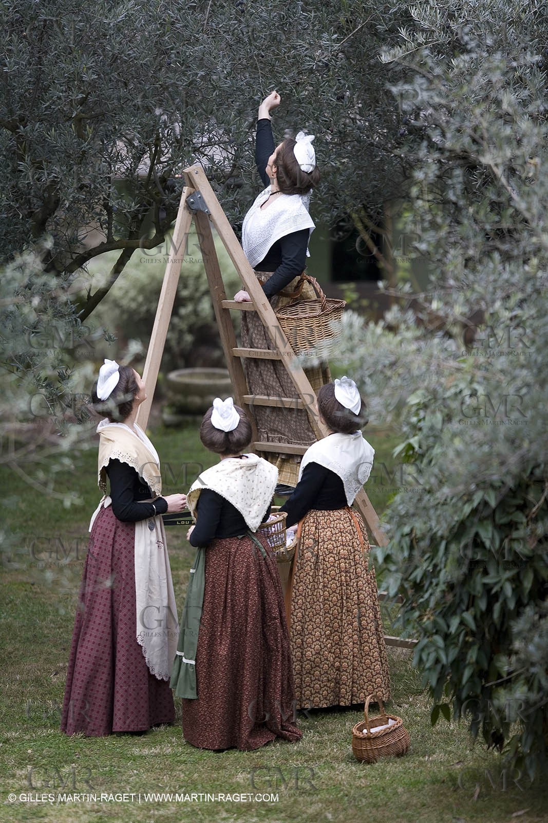 18 02 2007 - Saint Rémy de Provence - Queen of Arles in the Alpilles