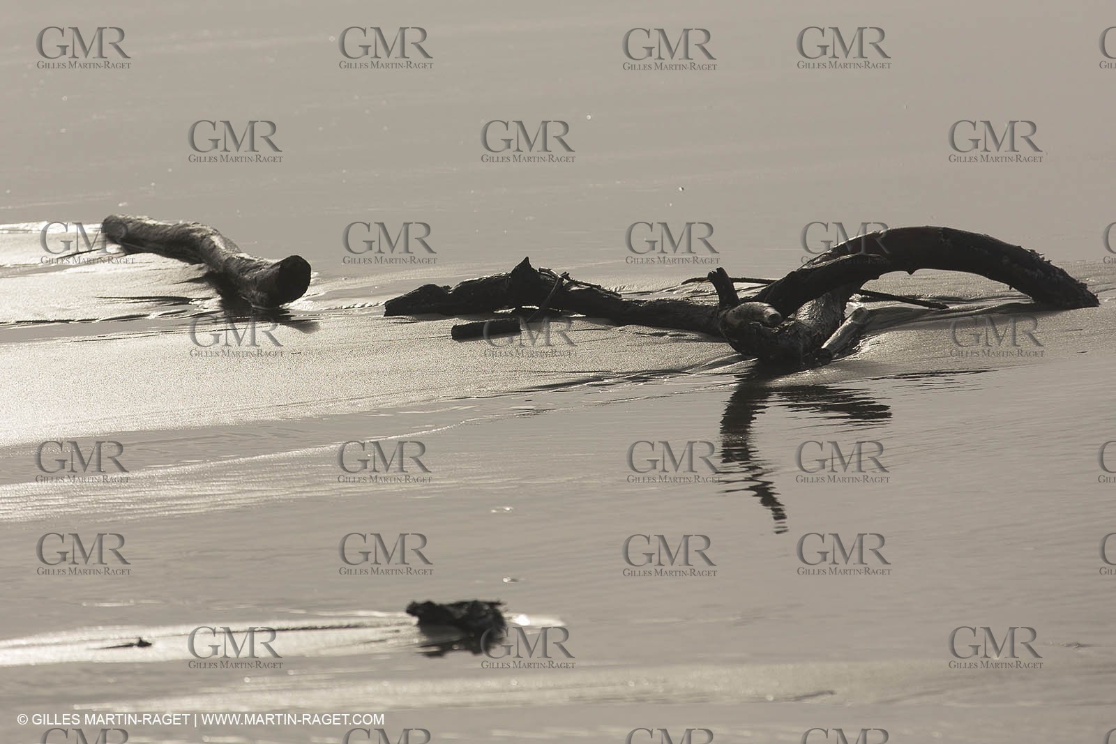 25 12 2013 - Les Saintes Maries de la Mer (FRA,13) - Winter storm