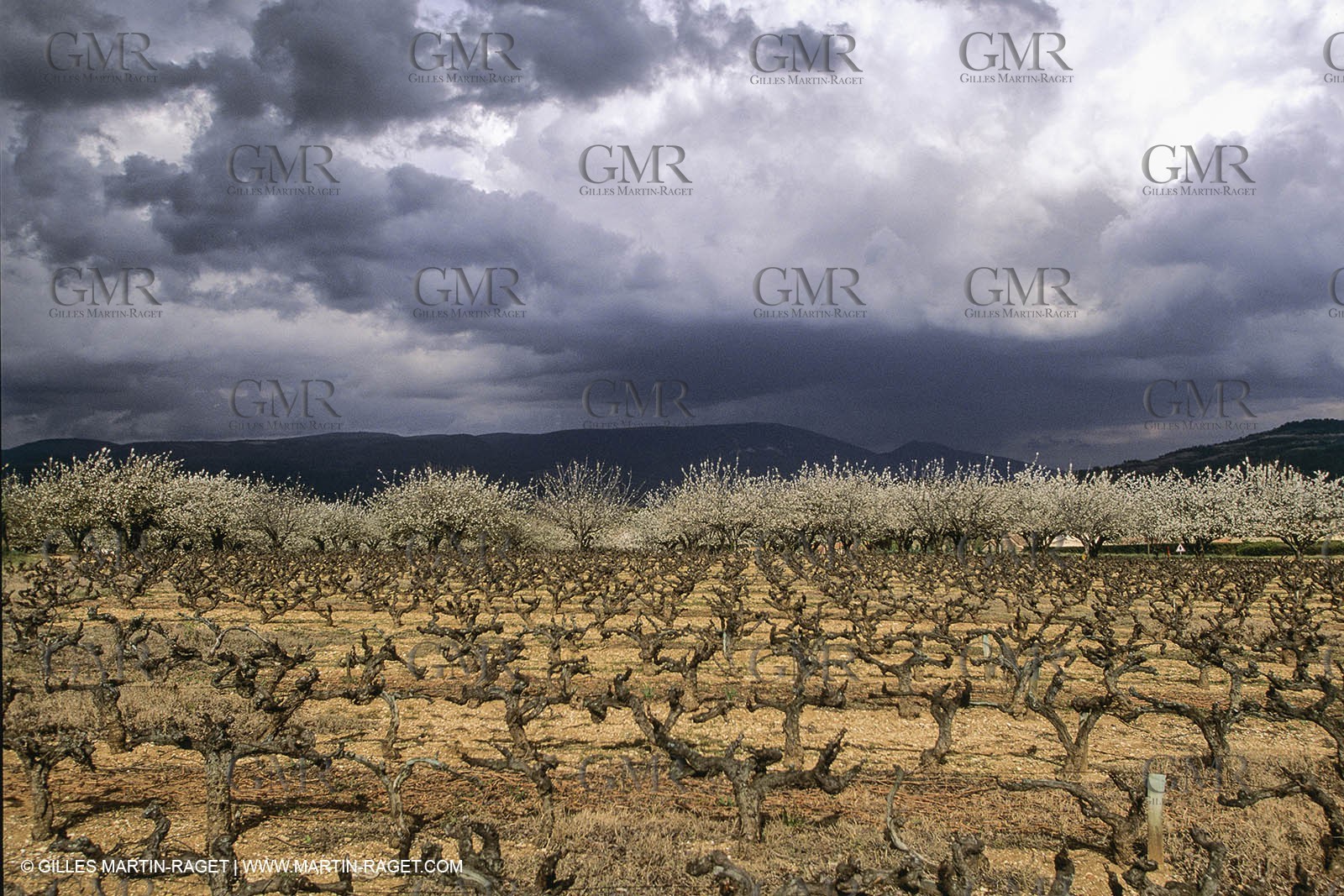 France, Provence, Paysages du Luberon, Luberon Landscapes