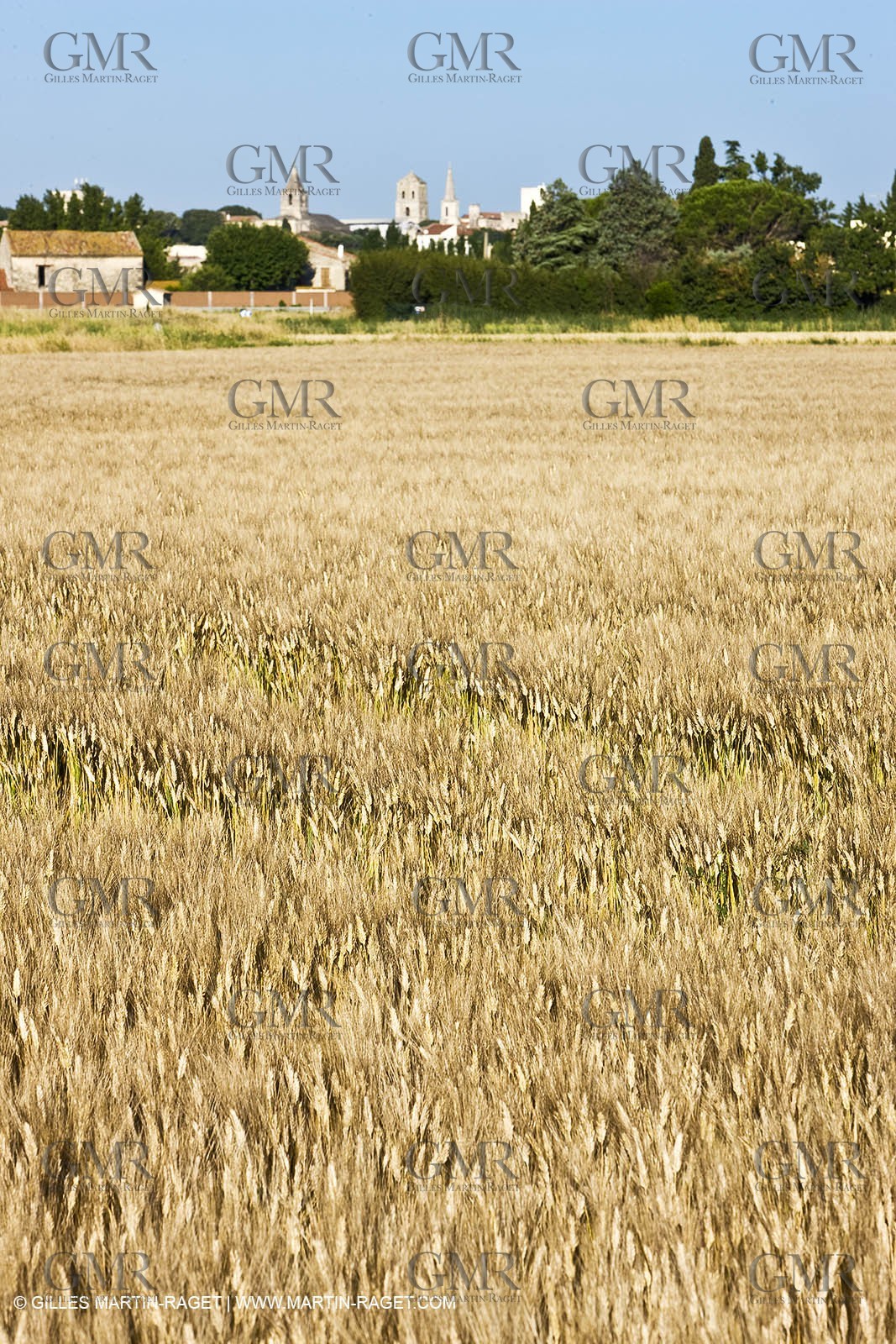 27 03 08-Arles- (FRA,13) - Van Gogh Landscapes