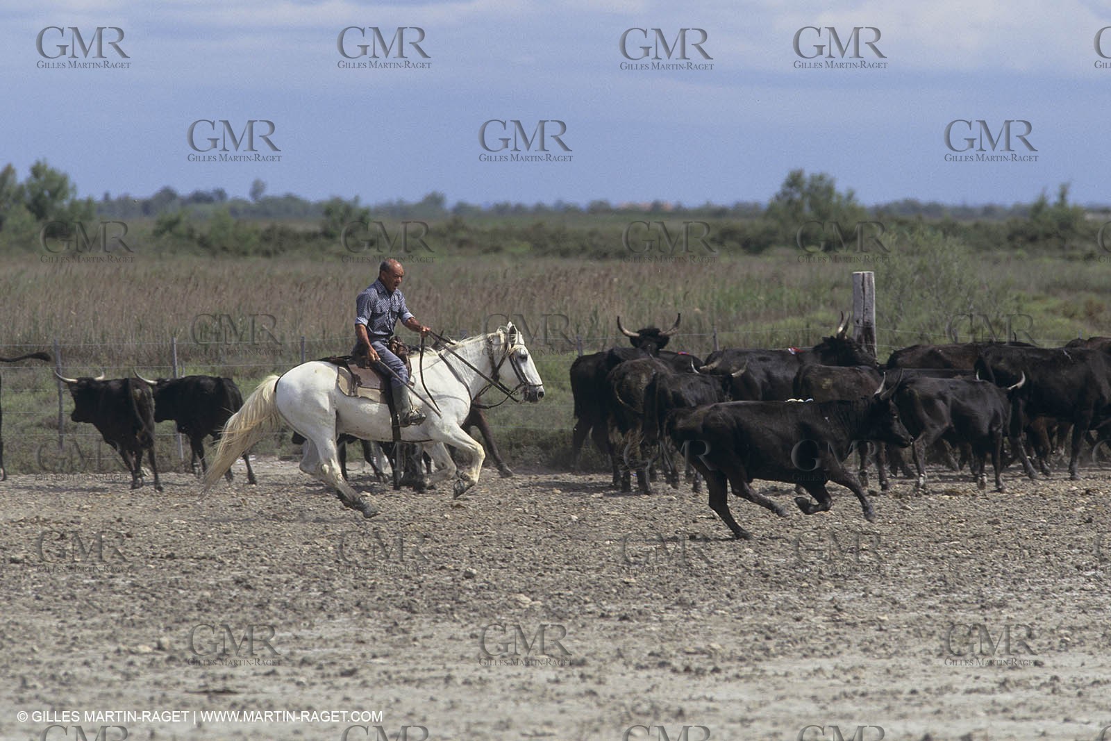 France, Provence, Camargue