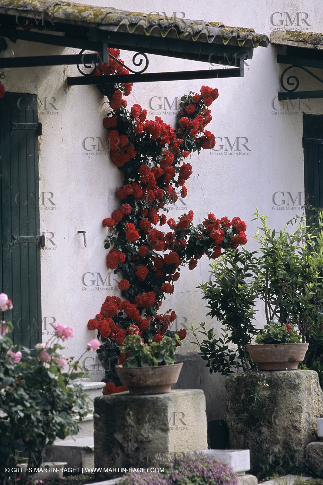 Camargue (FRA) - houses and cants from Camargue