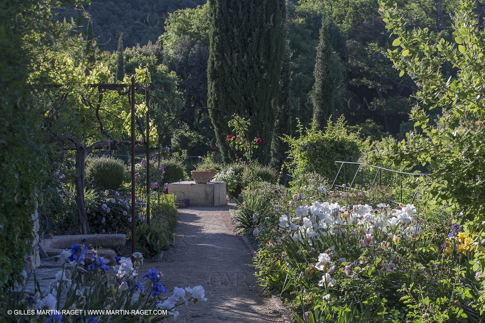 Domaine de la Baume - Tourtour (FRA,83) - 15 05 2014