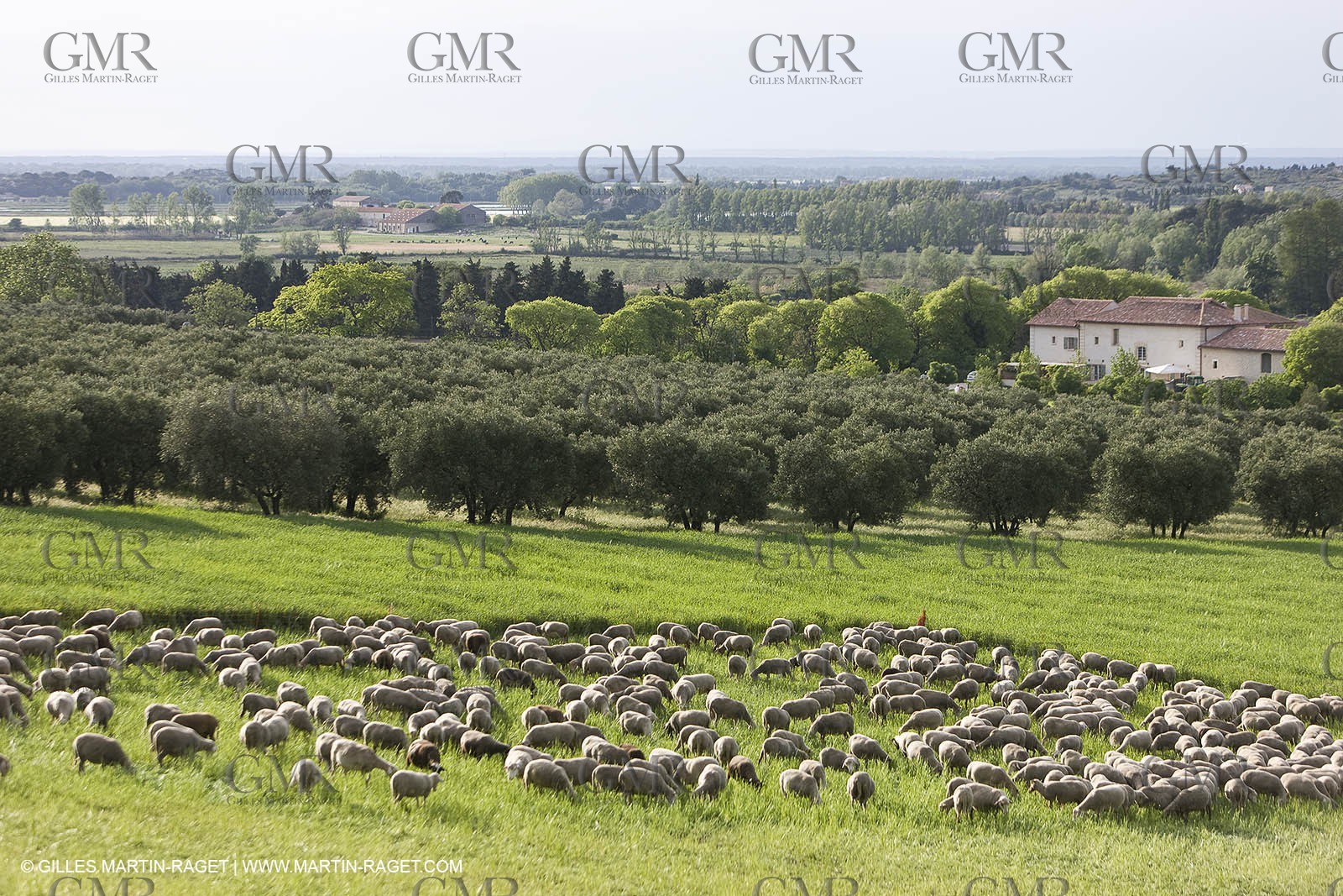 04 05 2008 - Arles (FRA,13)