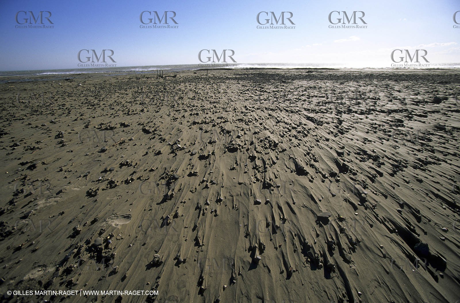 Camargue beach