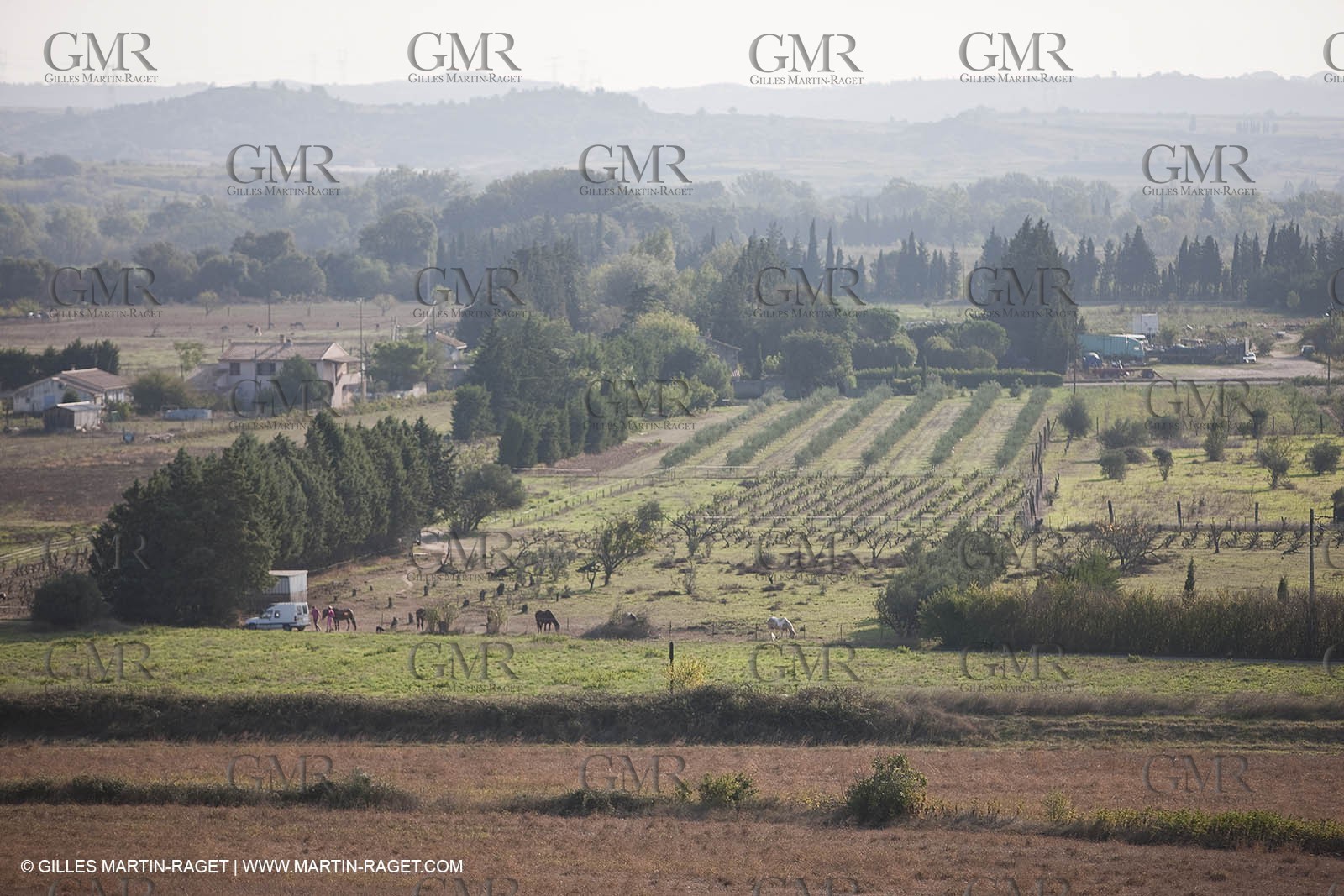 25 09 2009 - Sernhac (FRA,30)