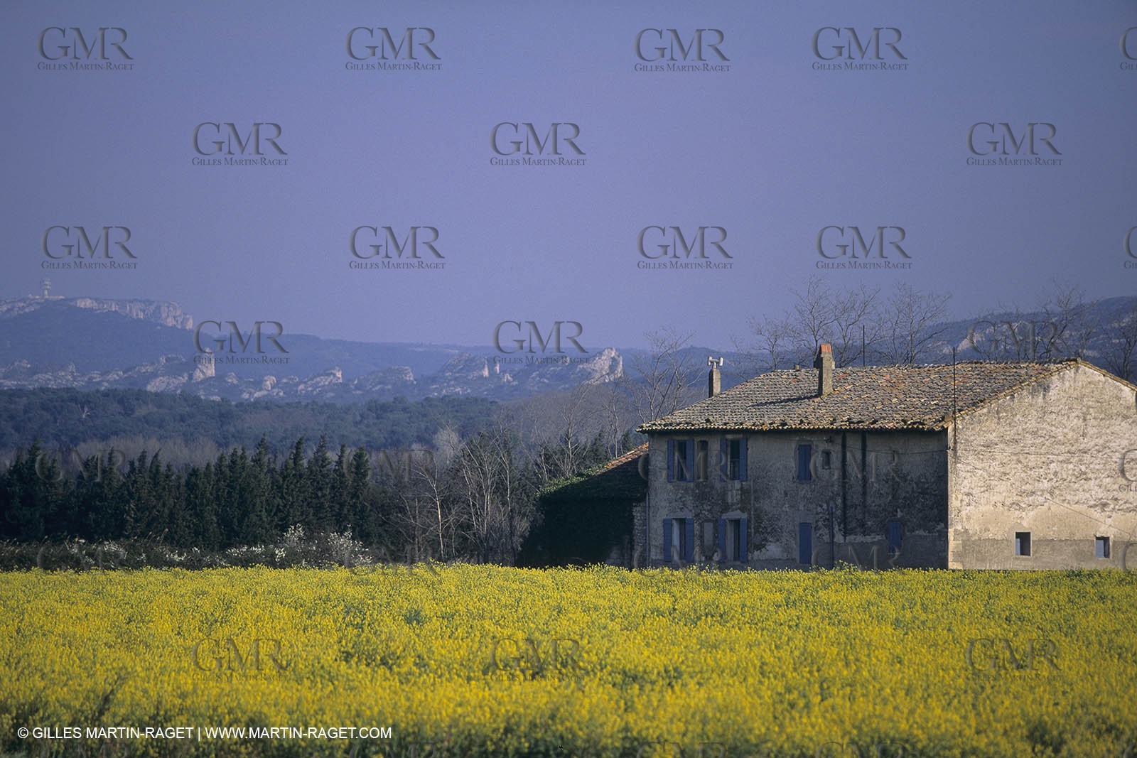 France, south, Alpilles landscapes
