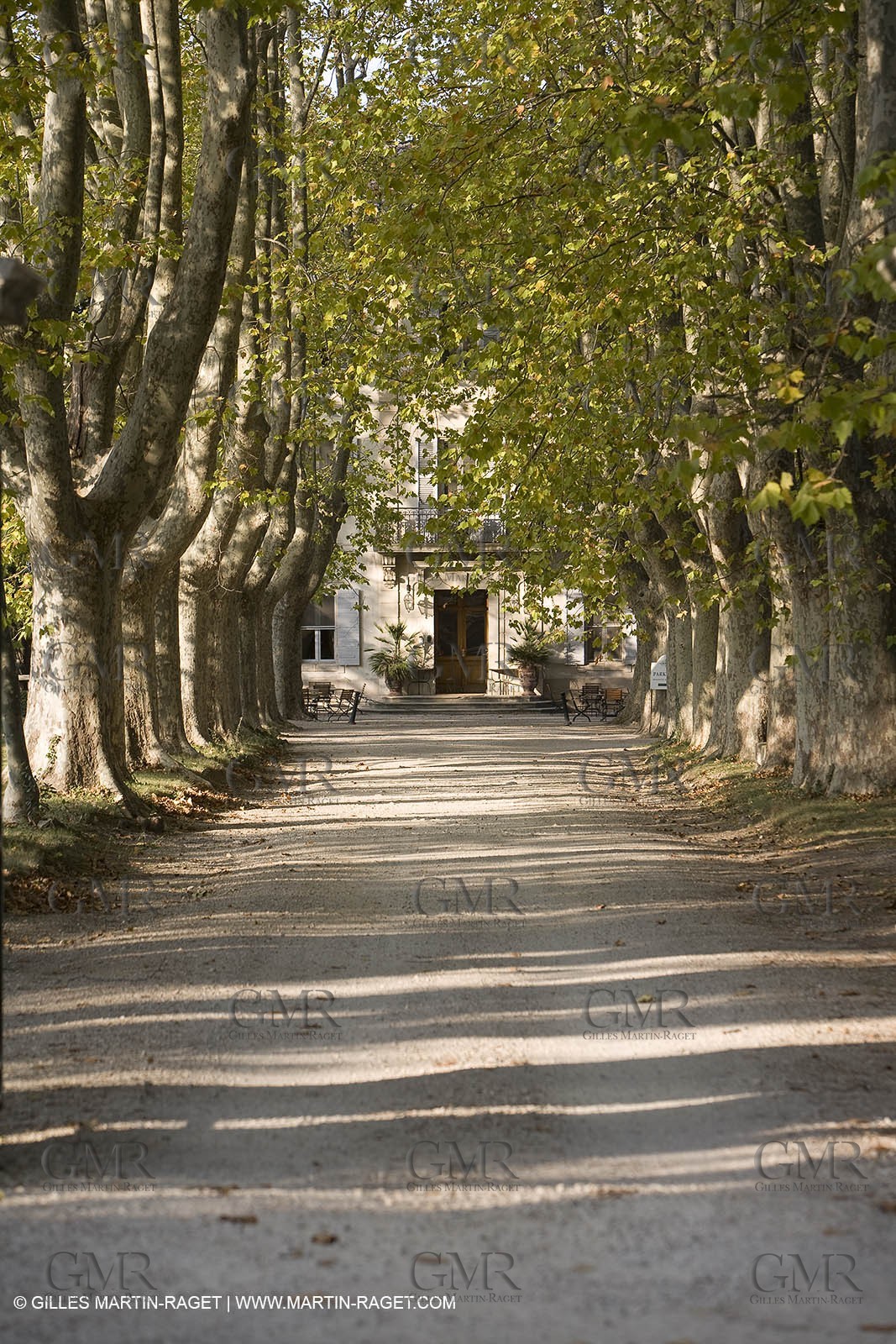 28 10 2007 - St Rémy de Provence (FRA,13) - Chateau des Alpilles