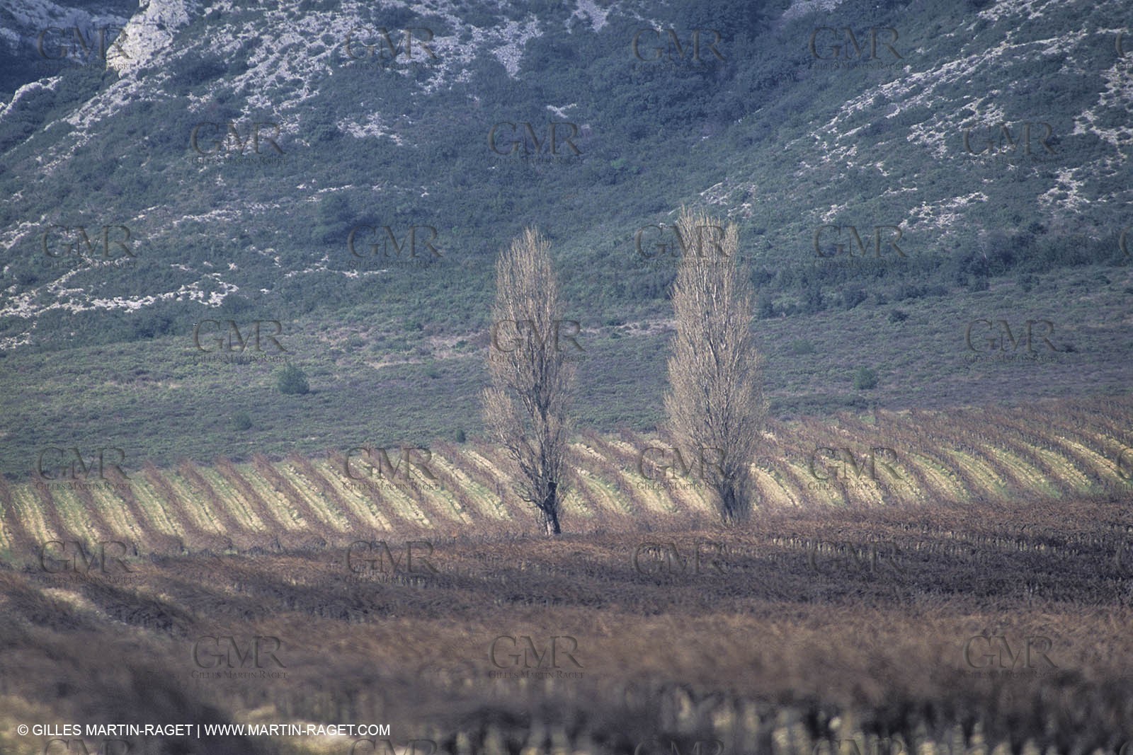 France, Provence, paysage des Alpilles, Alpilles landscapes