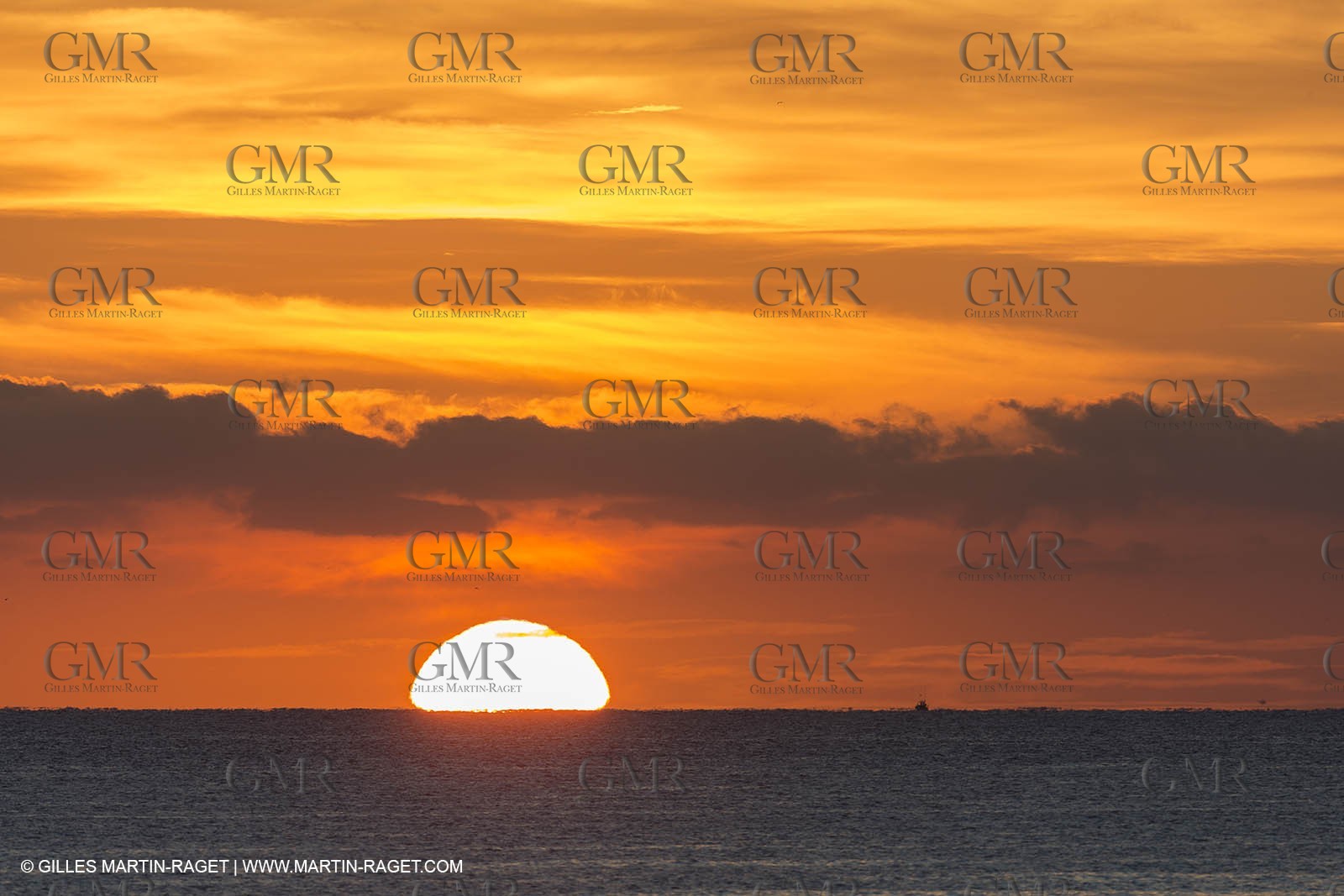 11 10 2014, Alicante (ESP), Volvo Ocean Race 2014-15, Team Alvimedica