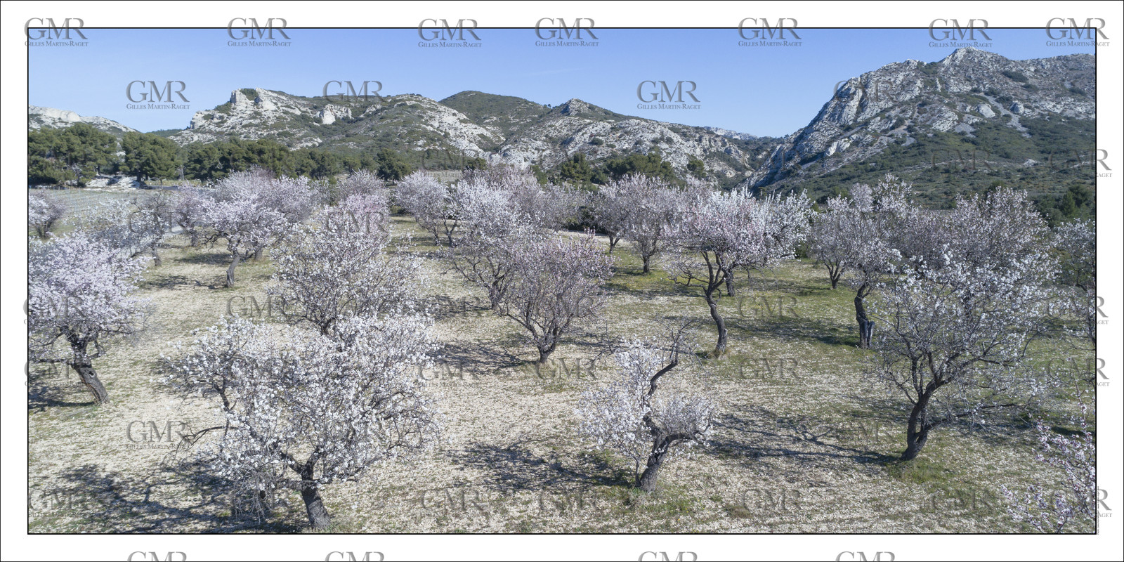 Product: in house made quality print on 8 ultrachome colors Epson ink Jet printer.Available sizes: . 50 x 100 cm. 100 x 200 cmAvailable papers: . Standard 250 gr glossy paper print, black streak, white margin, no signature. Top quality glossy 290 gr. paper, black streak, white margin, checked and signed by the author. Fine Art print (signed, numbered, stamped, registered) on demand. Other supports (Canvas, Acrylic, Metal) on demandPackaging: cylindric reinforced tubeShipping options: regular mail or Shipping companyClick on the basket icon to select your options and start the online ordering process