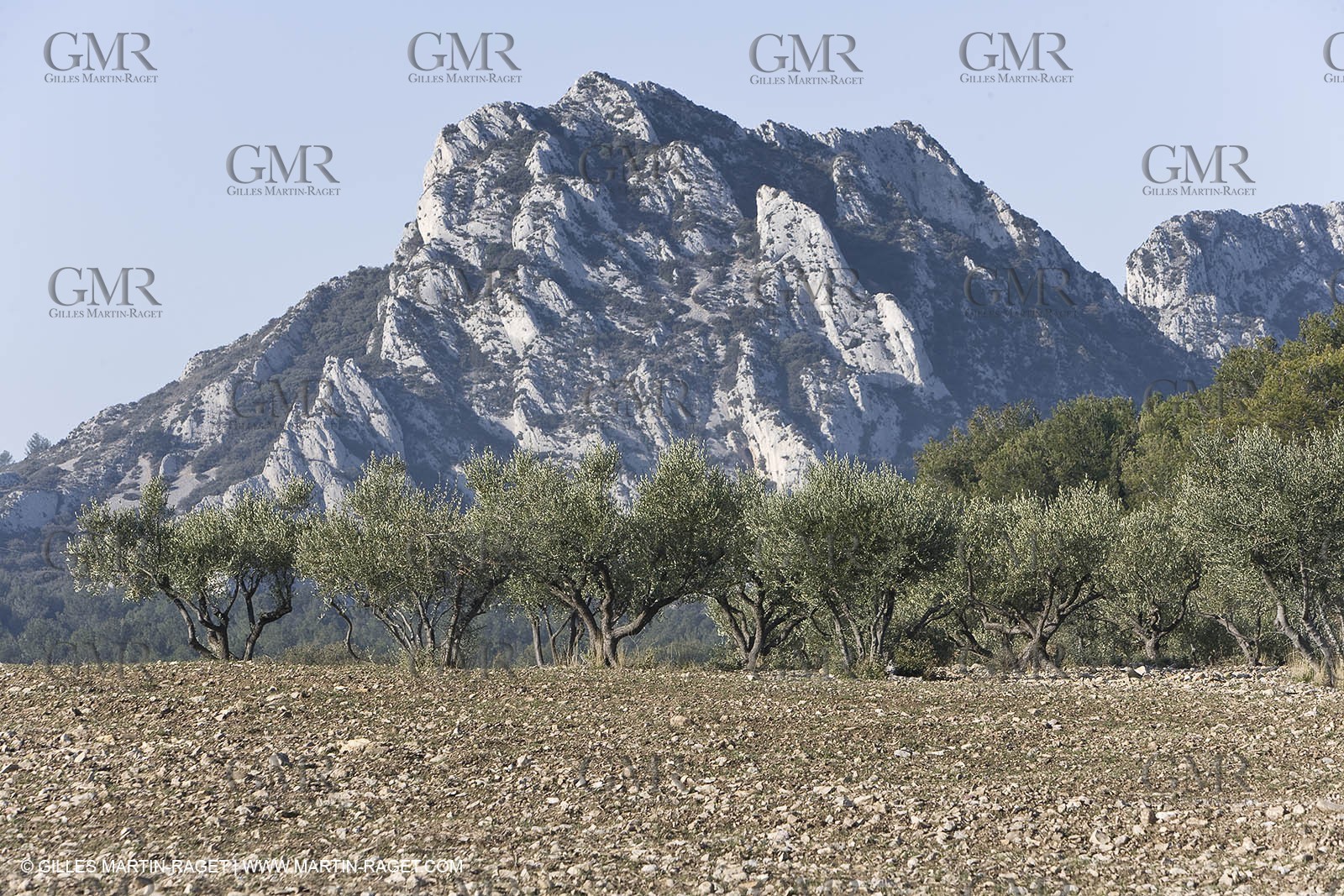 09 02 2008 - Les Baux de Provence (FRA, 13) - Alpilles hills landscapes