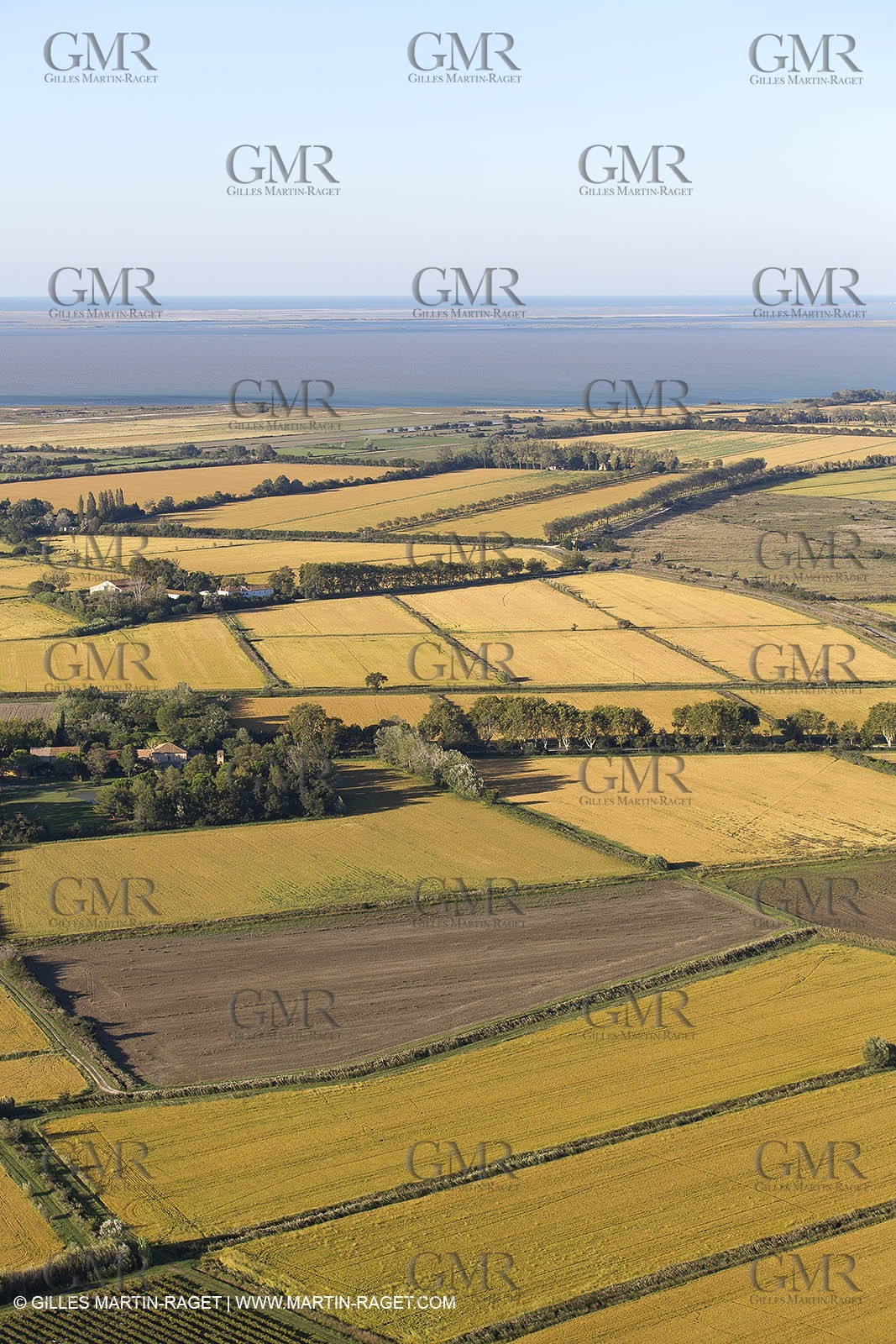 16 09 2012 - From AIx les Milles to la Grande Motte - Agriculture in north Camargue