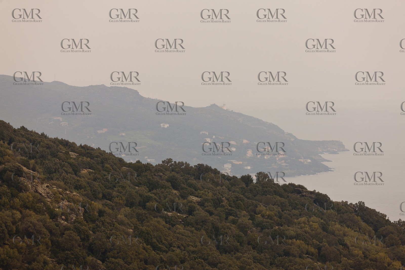 01-31-12   Marseilles (FRA,13) Bastia (FRA,Corsica)   Launching cruising trip and Christening ceremony of PIANA, last ferry ship from La Meridionale