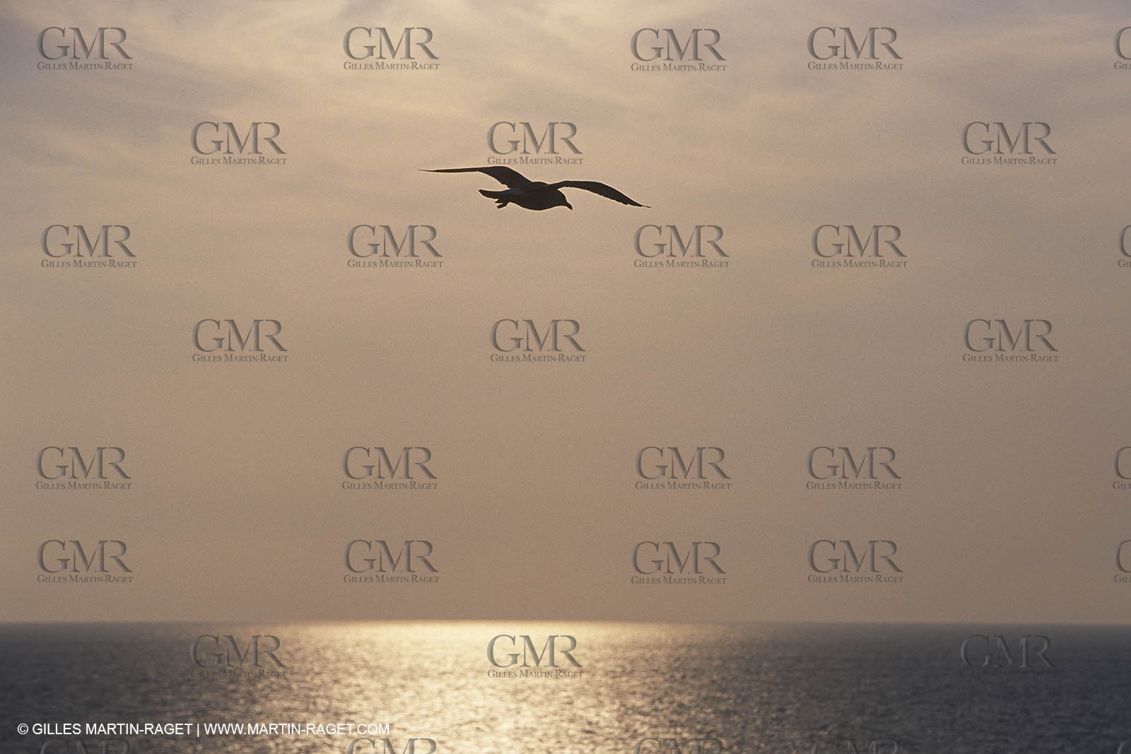 Var, 'Hyères islands, (FRA, 83), Porquerolles island