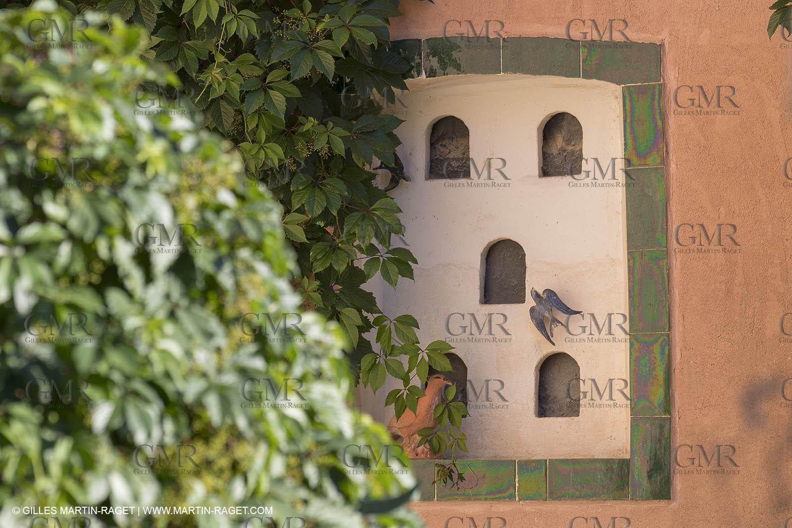 15 06 2018, Roussillon (FRA,84)