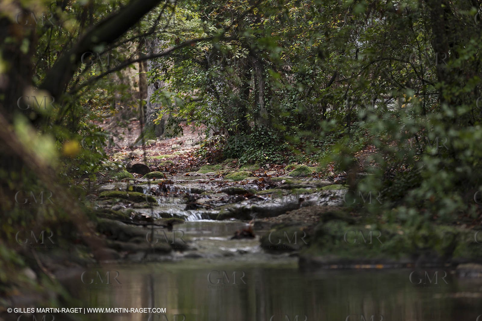 23 10 2012 - Gemenos (FRA) - Départemental Park of Saint Pons valley