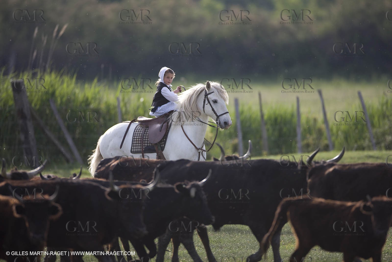07 05 2008 - Le Cailar (FRA,30) - Stock work at Mas du Pont de Laute domain