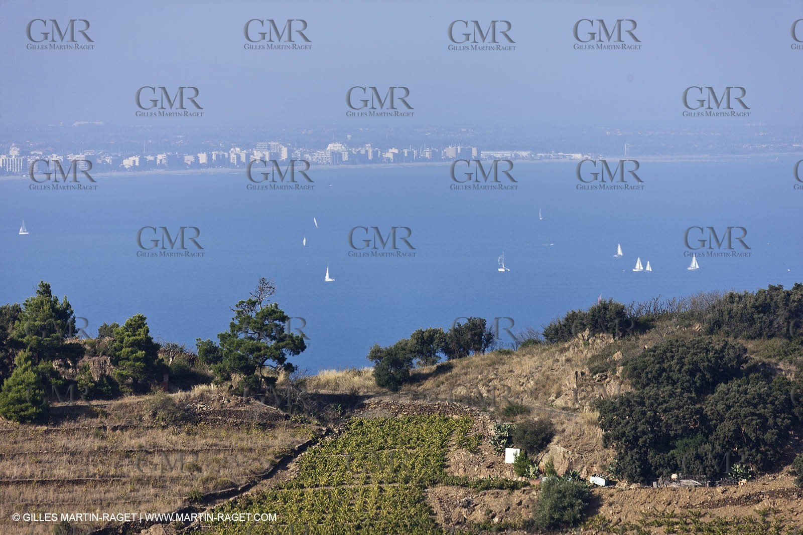 17 10 2011 - Vermeille Coast (FRA, 66) - Corbières Vineyards