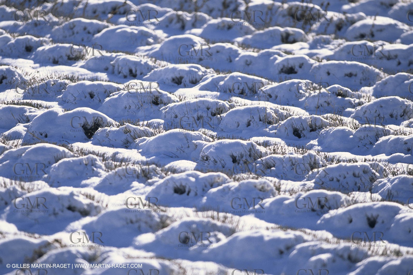 Provence under snow