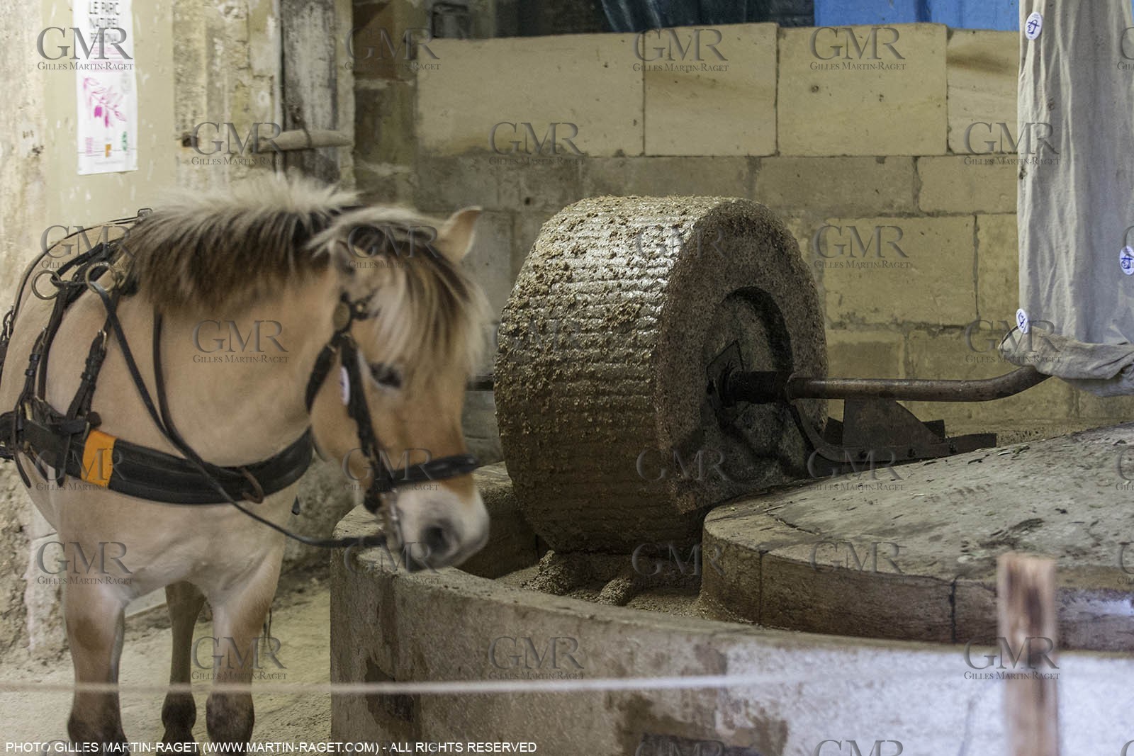 14 11 2015, Saint-Etienne du Grès (FRA,13), traditional making of olive oil at La Croix mill