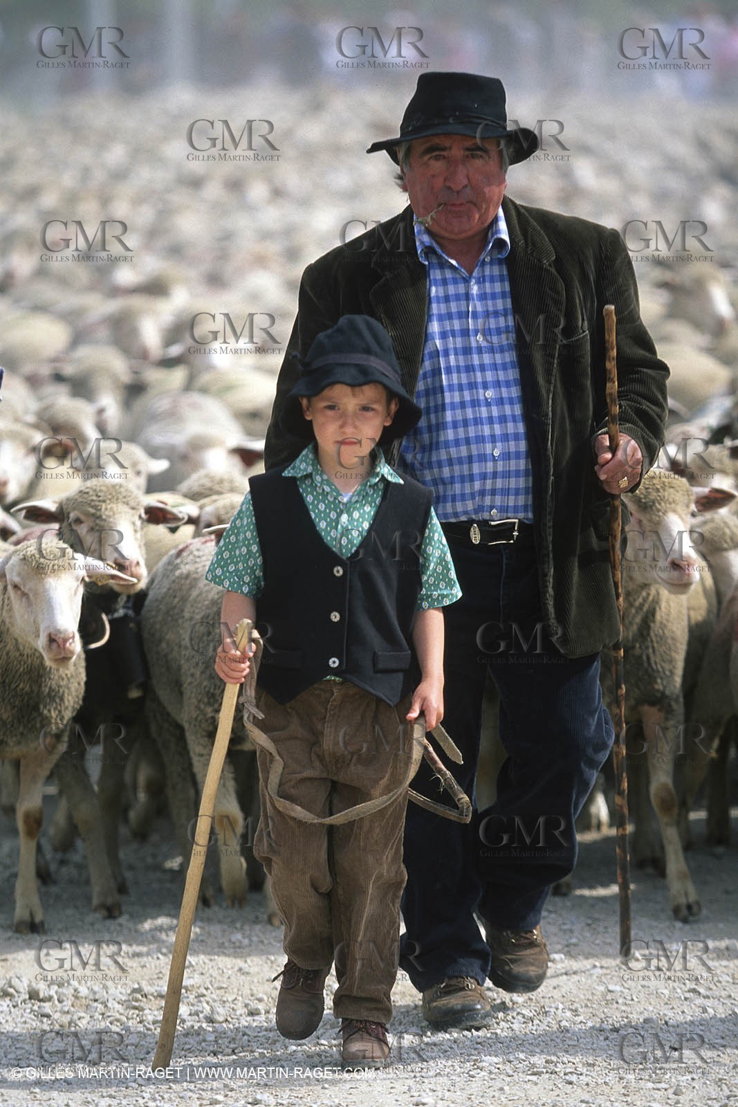 Saint Rémy de Provence (FRA,13) - Sheep stocks migration Fest