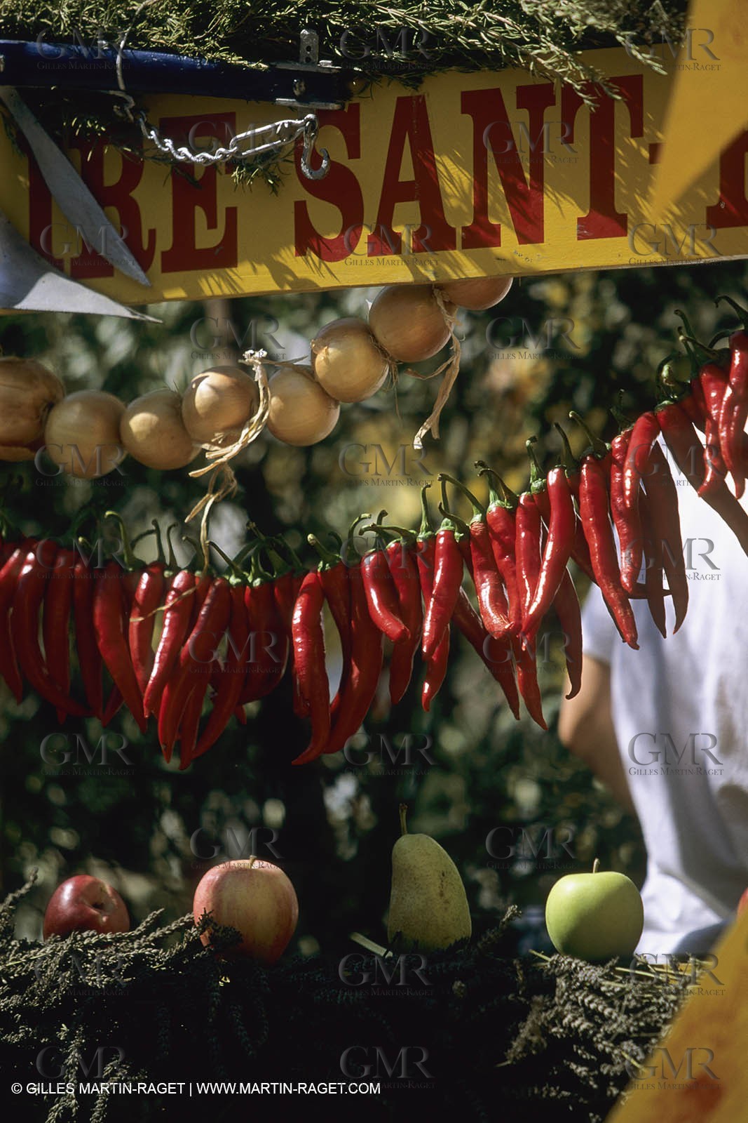 France, Provence, Saint-Rémy de Provence, Careto ramado (Char fleuri)