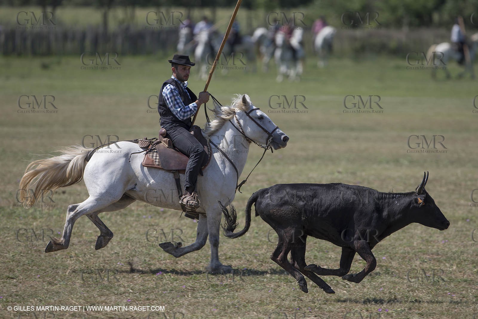 Course de Satin 2014 - Arles (FRA,13) - 1 06 2014**The satin race - Arles (FRA,13) - 01 06 2014