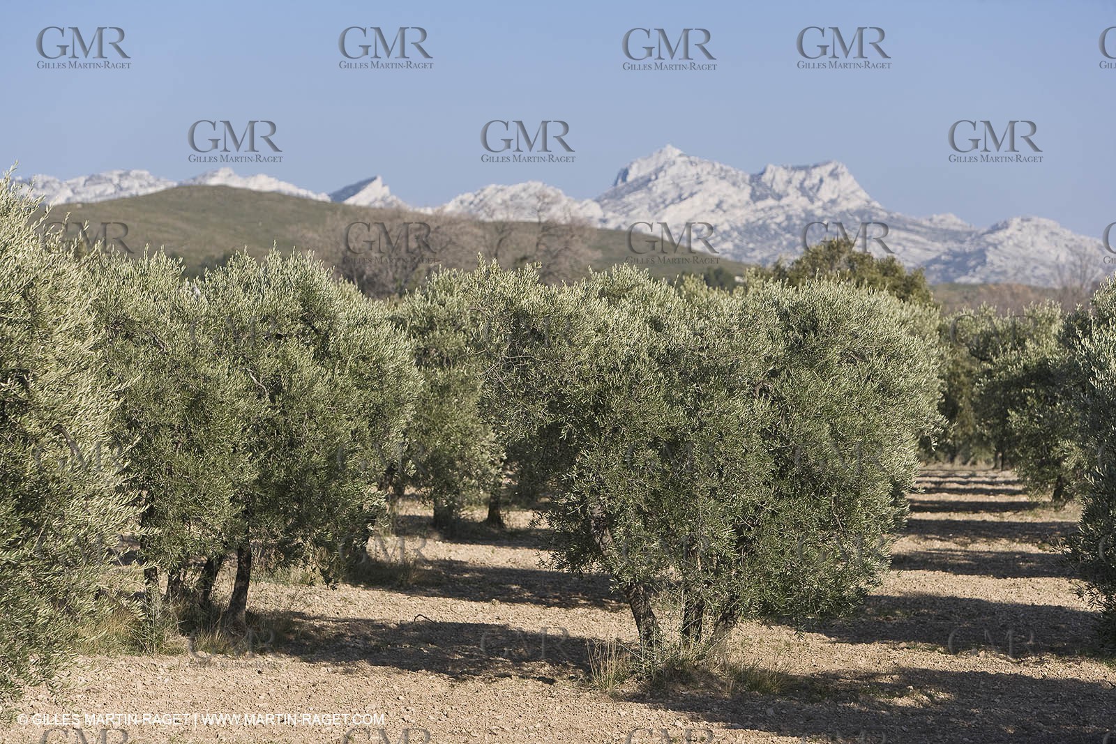 16 02 2008 - Les Baux de Provence (FRA, 13) - Alpilles hills landscapes