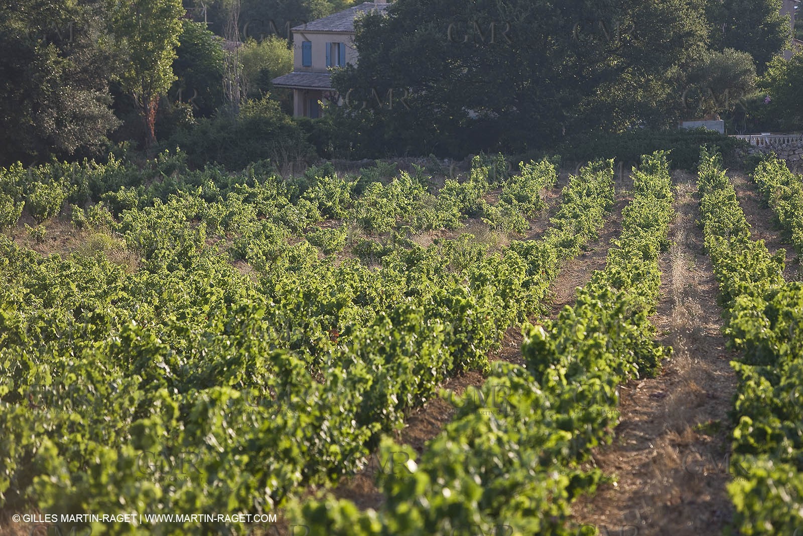 01 07 2009 - Sanary sur mer (FRA,83)