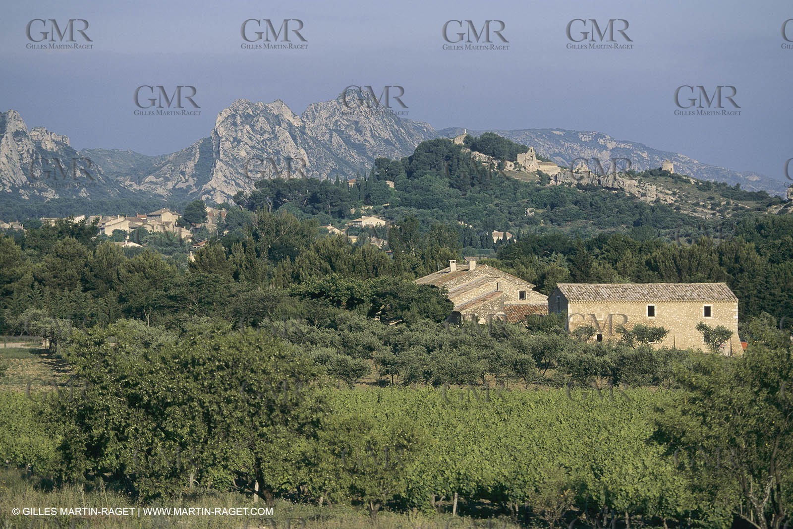France, Provence, paysage des Alpilles, Alpilles landscapes, Eygalières