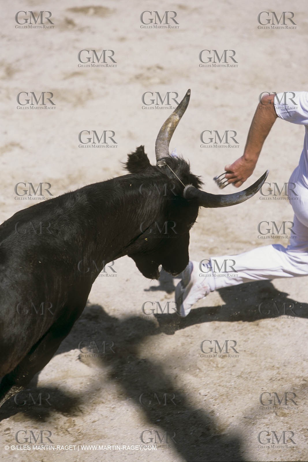 France, Provence, Course libre