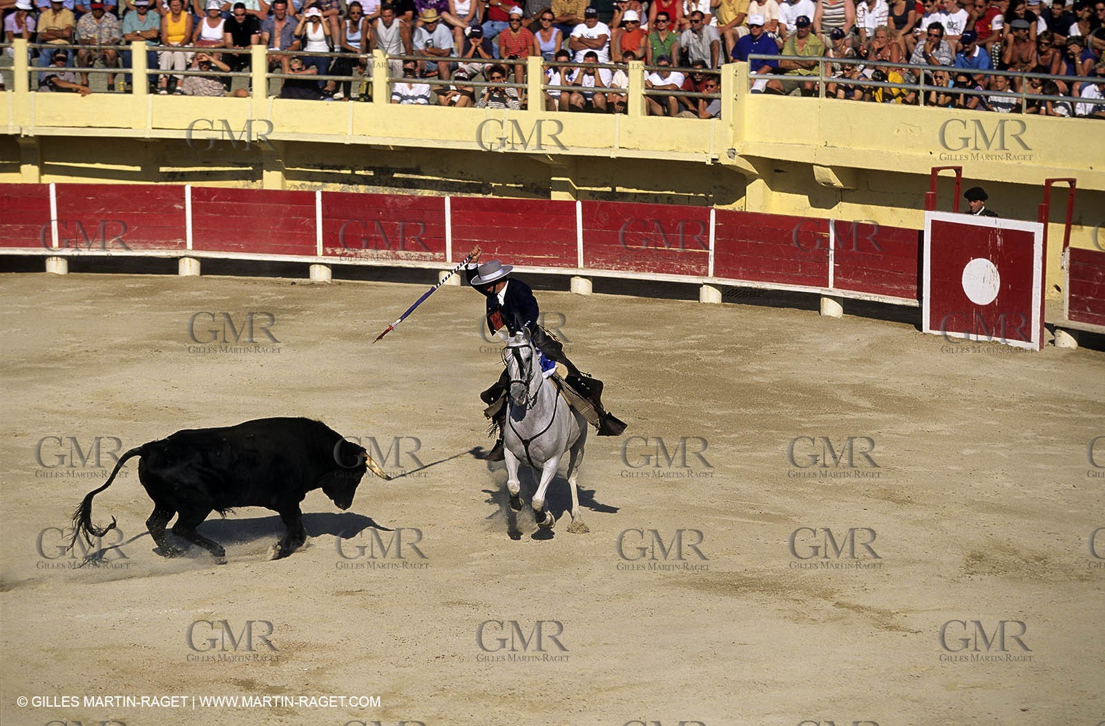 Gard, (FRA,30) - Camargue bull game