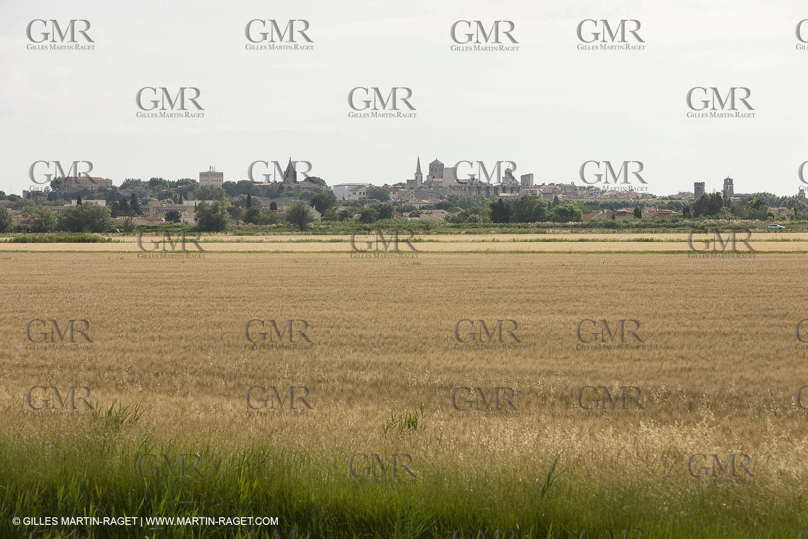 10 06 2008 - Arles and surroundings (FRA, 13) - Vincent Van Gogh south