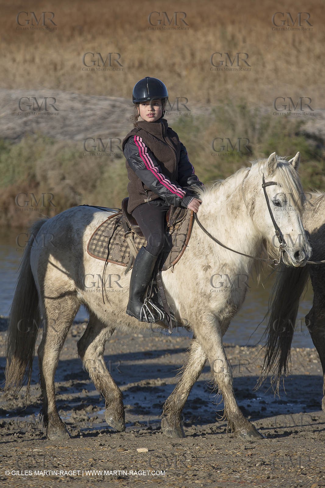 26 12 2013 - Les Saintes Maries de la Mer (FRA,13) - Horse riding at Cabanes de Cacharel