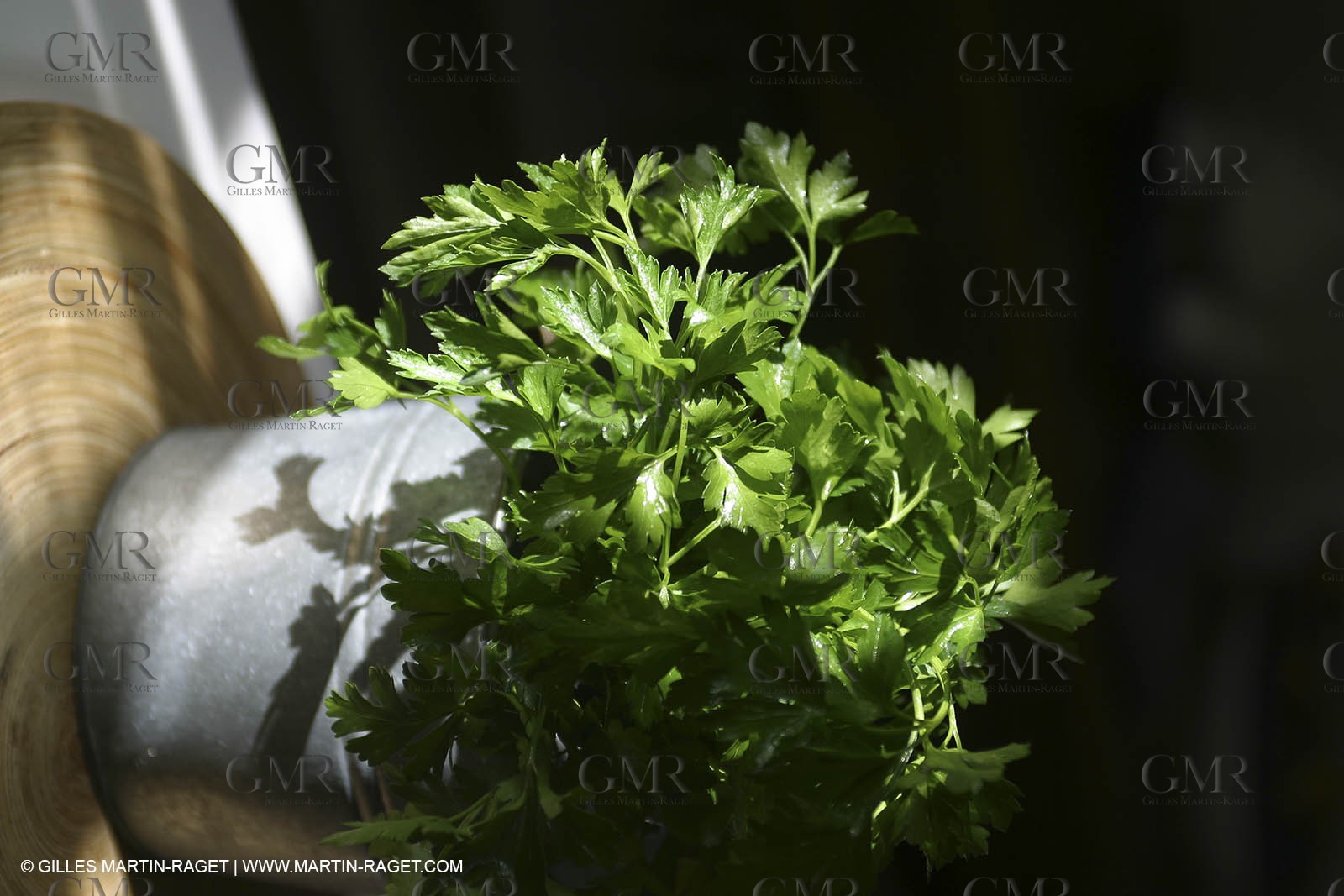 Cooking herbes from Provence - Garlic and Parsley