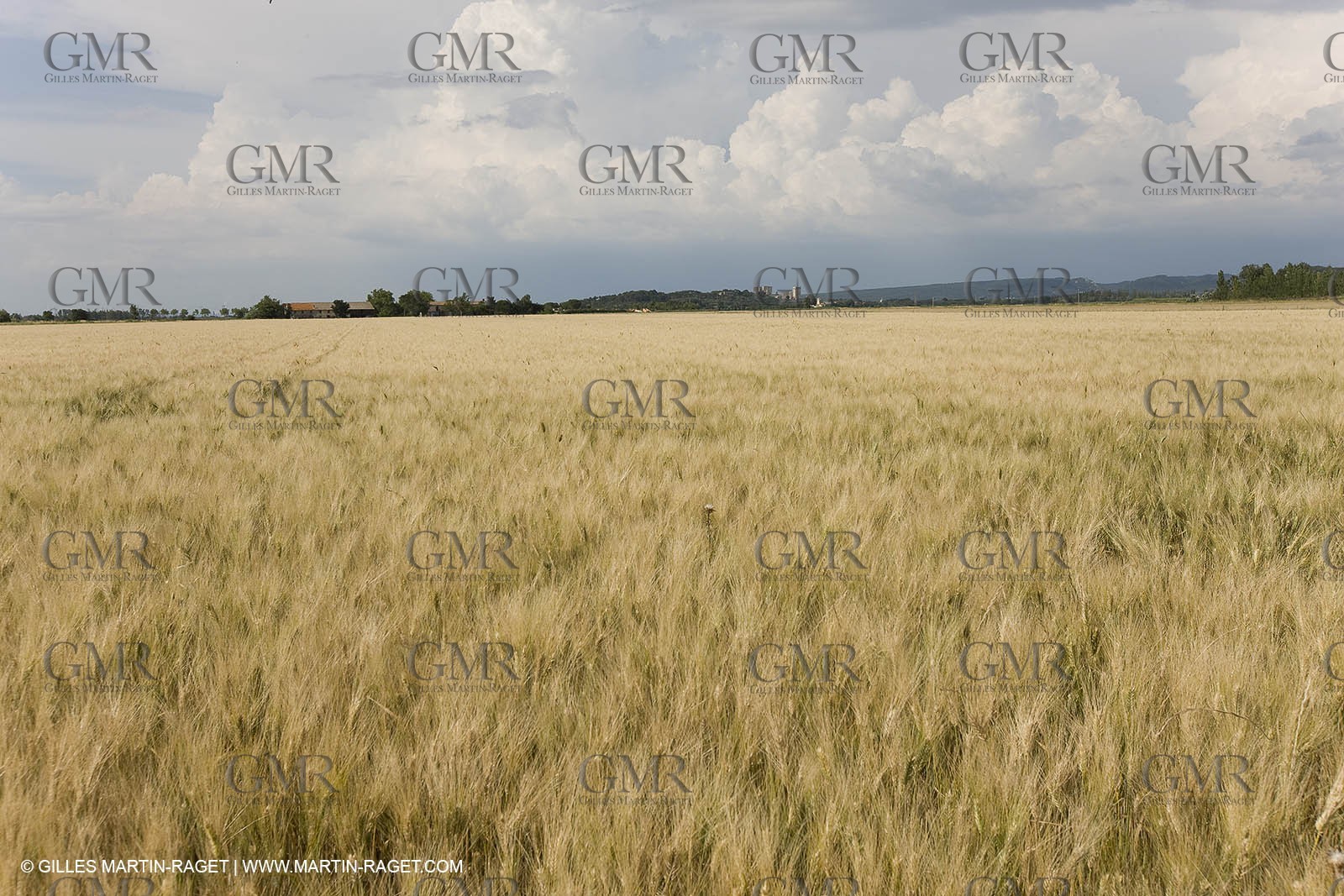 10 06 2008 - Arles and surroundings (FRA, 13) - Vincent Van Gogh south